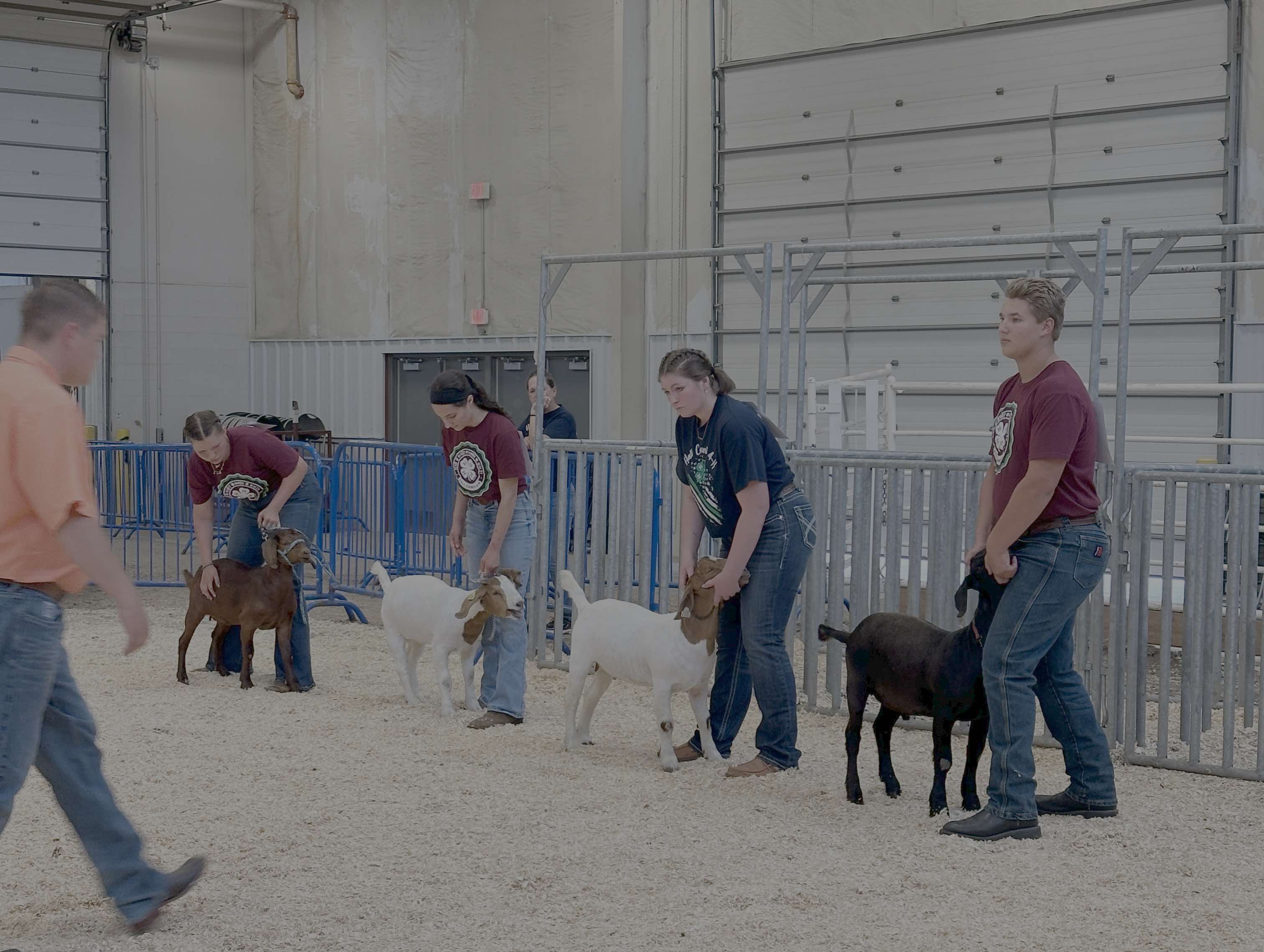 Gallery Photo of the Hall County Fair