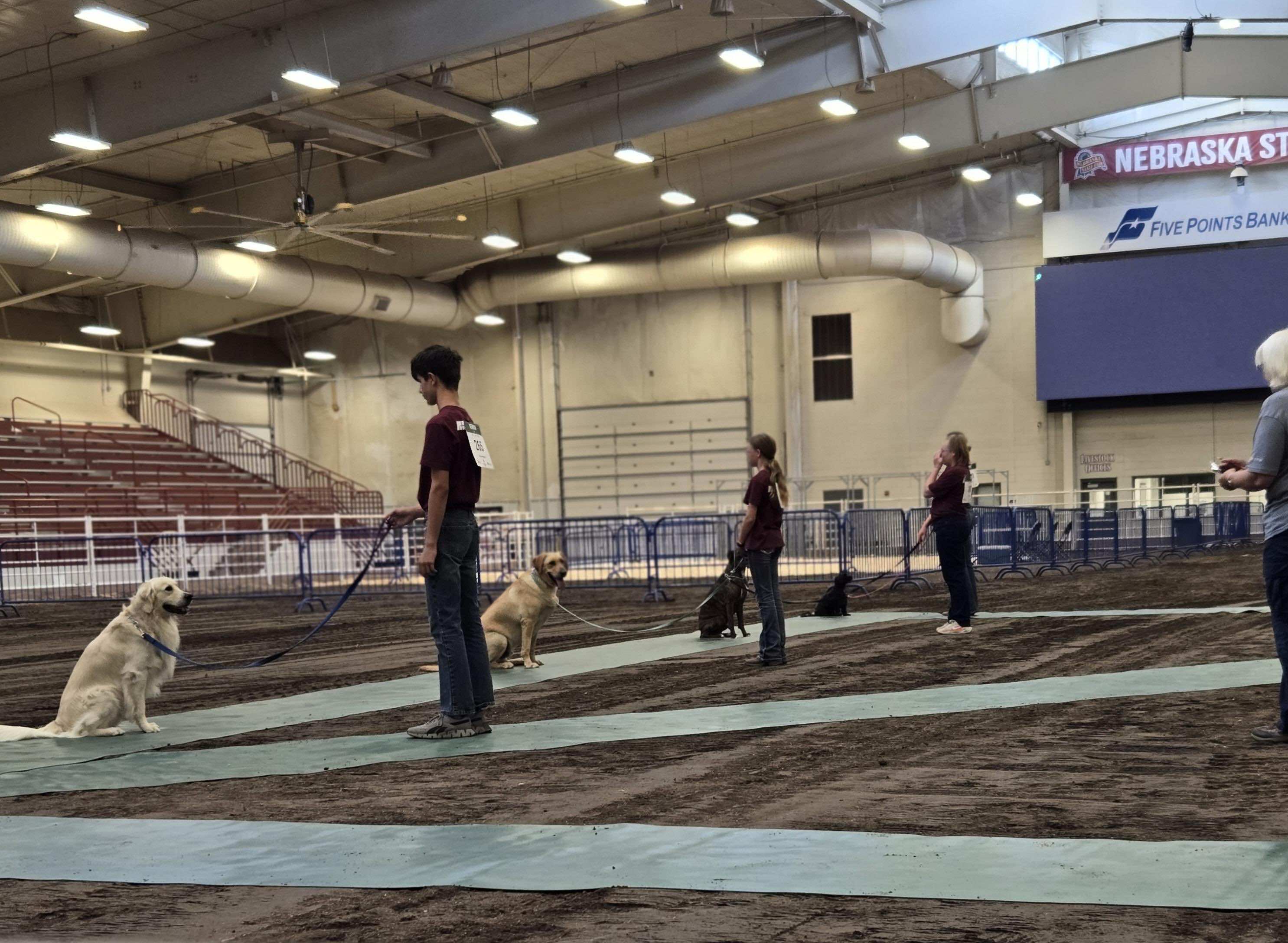 Gallery Photo of the Hall County Fair