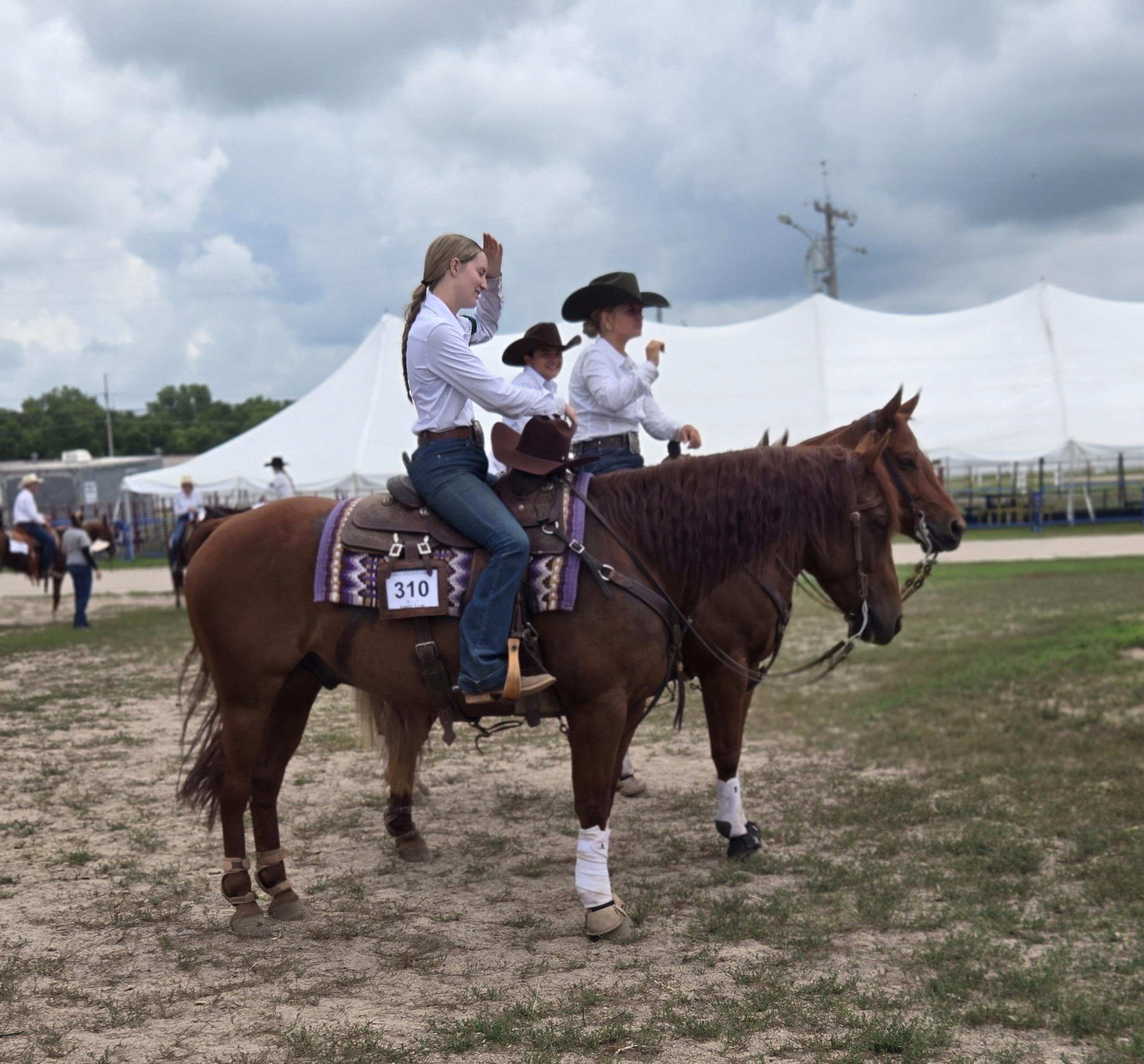 Gallery Photo of the Hall County Fair